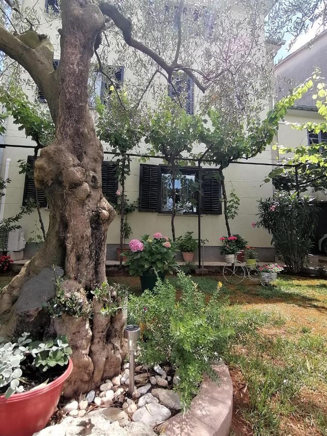 Apartment Oliva Pula Dış mekan fotoğraf