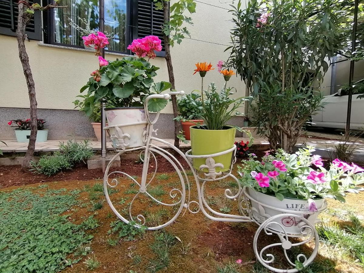 Apartment Oliva Pula Dış mekan fotoğraf