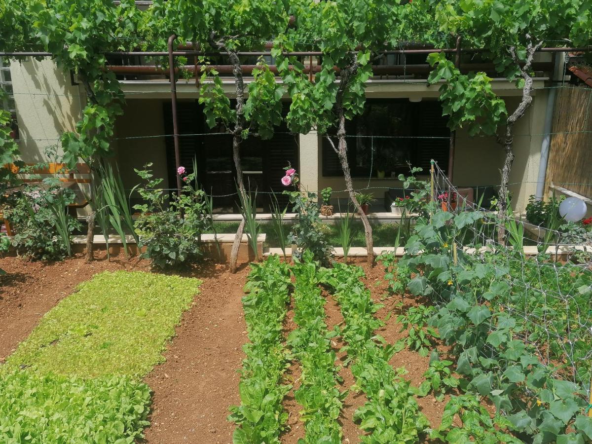 Apartment Oliva Pula Dış mekan fotoğraf
