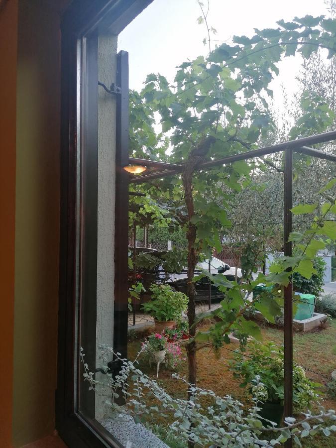Apartment Oliva Pula Dış mekan fotoğraf