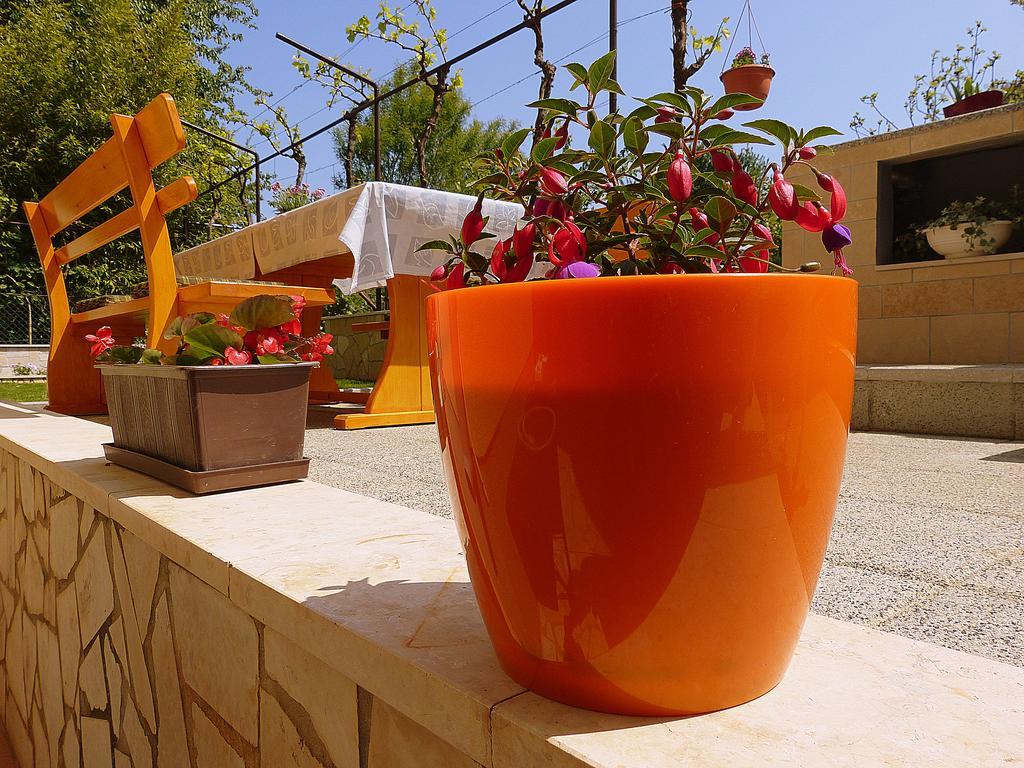 Apartment Oliva Pula Dış mekan fotoğraf